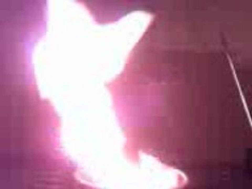 la feu