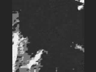 Girls Just Want To Have Fun