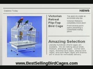 Choosing the Right Parrot Cage