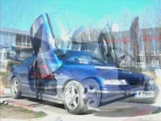 Calibra Lambo Edition