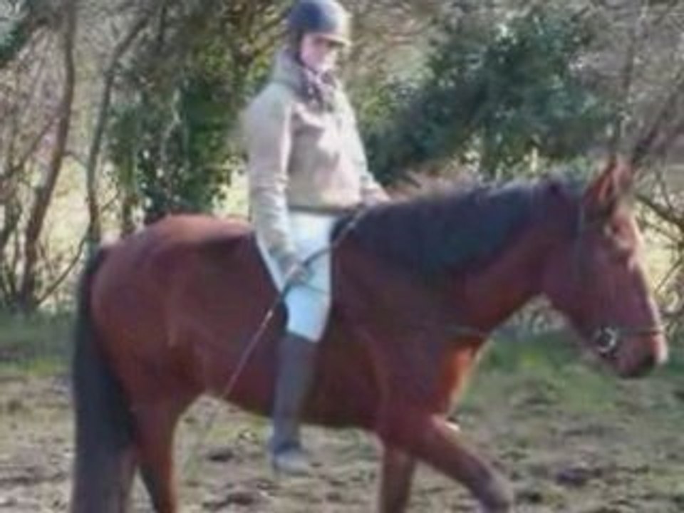 Ma Passion, l'équitation, ...