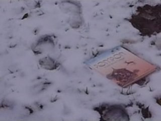 Echo. Une répétition de Choses et de Mots