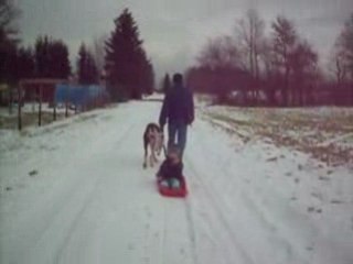 Neige +Théo et chiens 00013