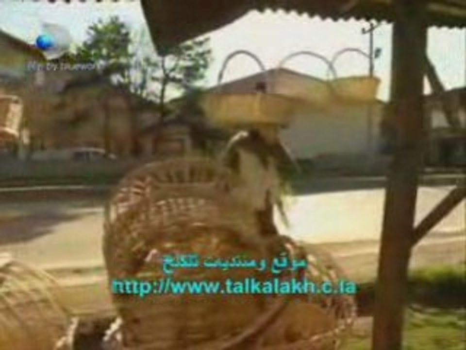 Roba_El_Gamal-sabprni