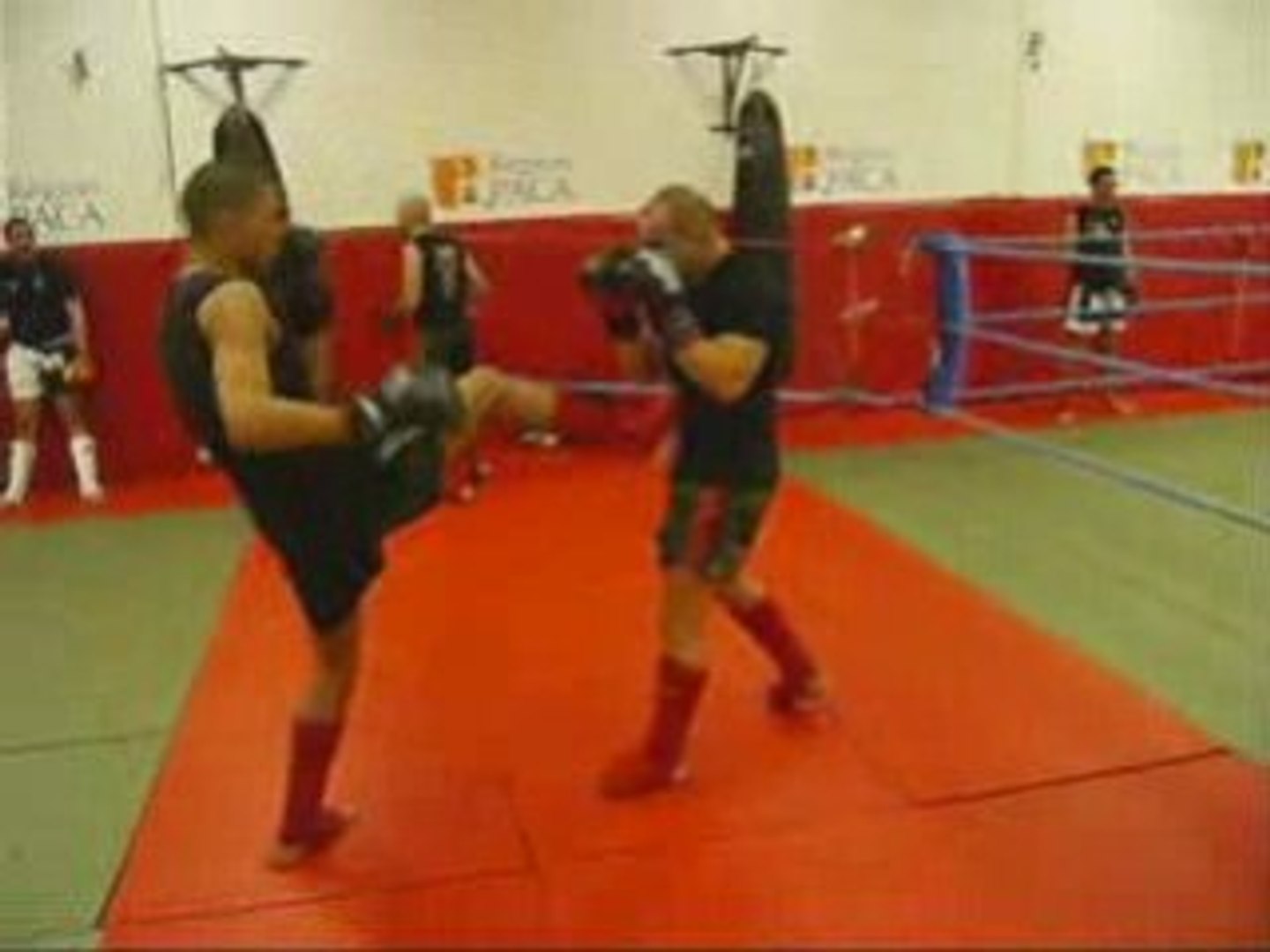 muay thai