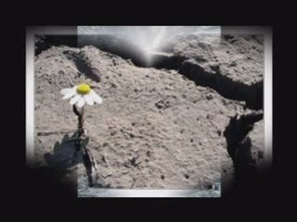 ıhlamurlar çiçek açtığı zaman - bahattin karakoç