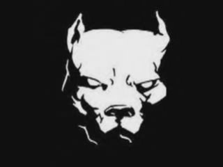 ap ft despo rutti .. gros son 2009!! newz!!!! goutte ca!!