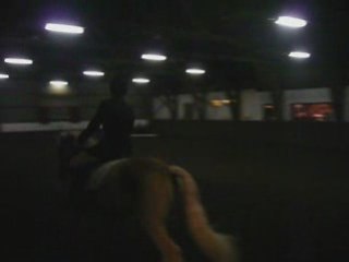 Dressage bilou
