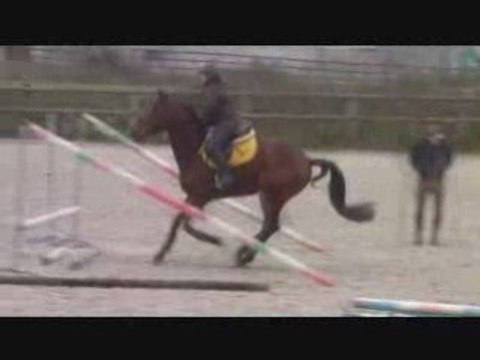 Sauts d'obstacles pour Royôme