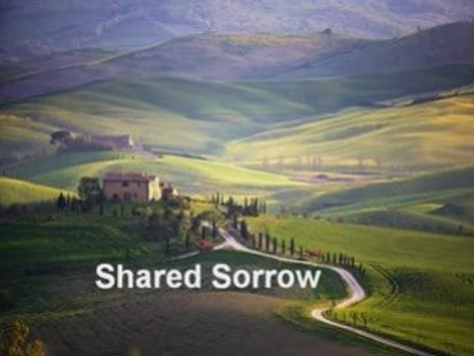 Shared Sorrow