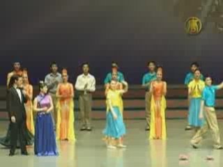 Chinese Flies to Japan Especially for DPA Show