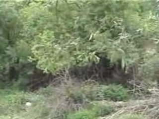 çiftlik köyü orijinal