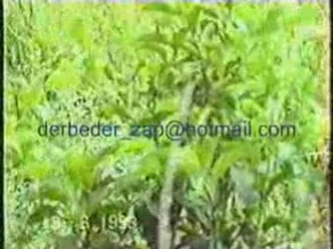 erdewan zaxoli koçere derbeder_zap tan