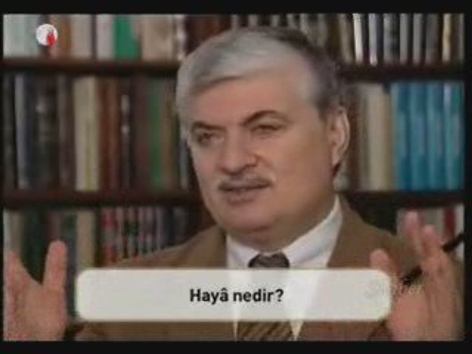 Haya nedir