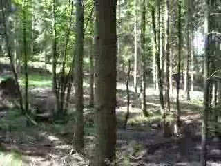 rando ardenne equirencontre08