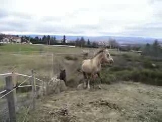retrouvailles 2