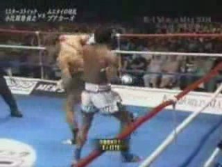 Buakaw Por Pramuk Muay Thai HL