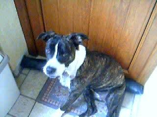 moi ki fai kelke chose ke je ne peu po