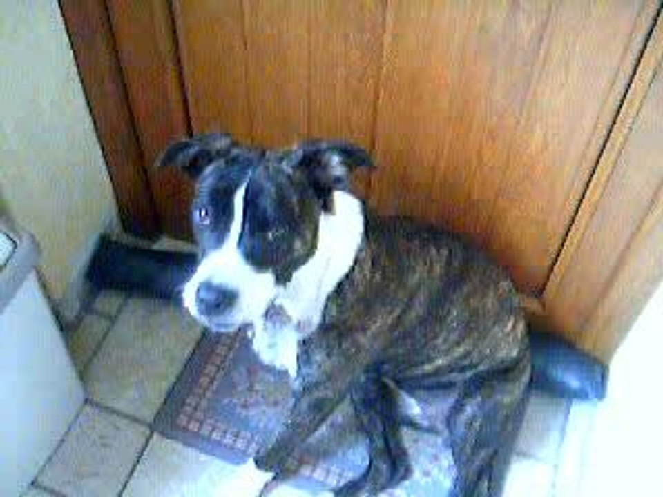 moi ki fai kelke chose ke je ne peu po