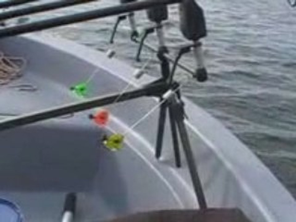 carpe en bateau