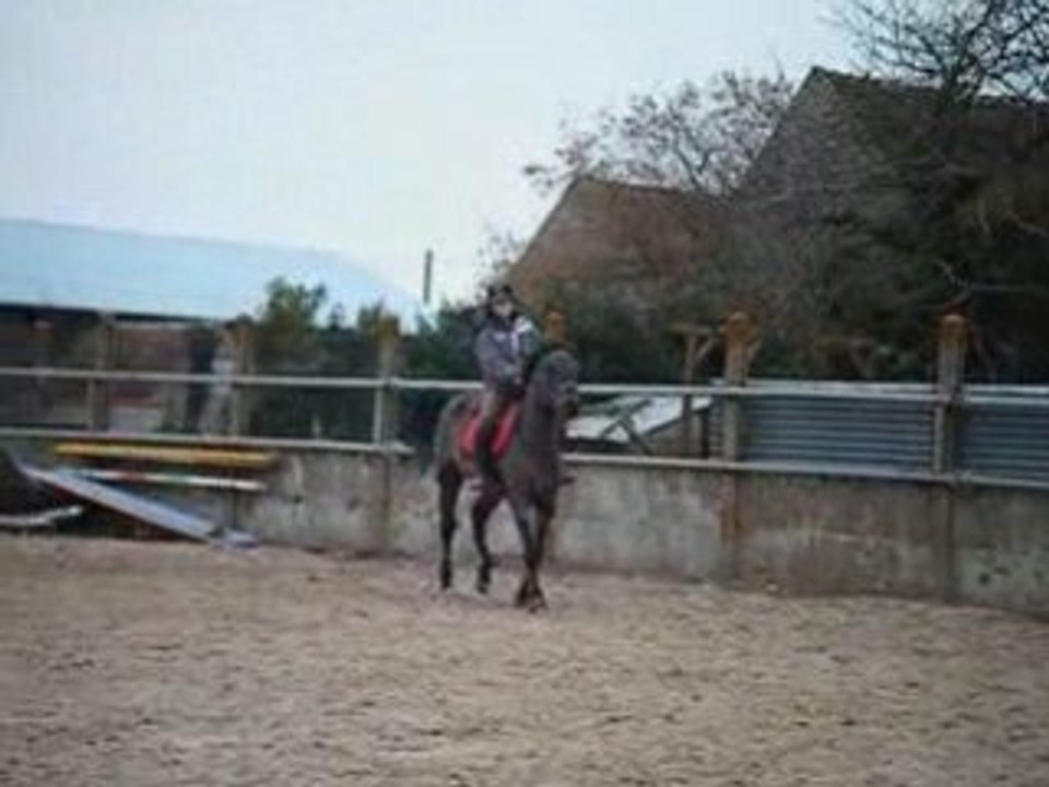 Cours mercredi