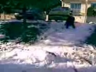 Nikolas en luge