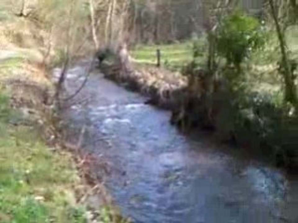 Rando OVS Brest dans le pays de Landerneau le 15/2/09-n°2