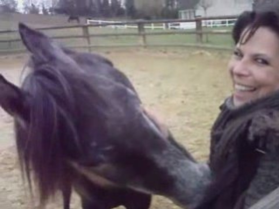 Ferme 1