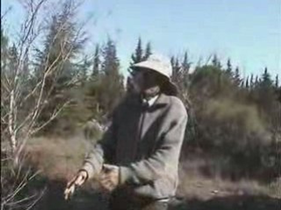 Garrigue Vivante 2