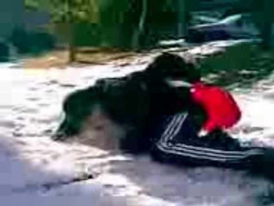 Nikolas en luge de dos