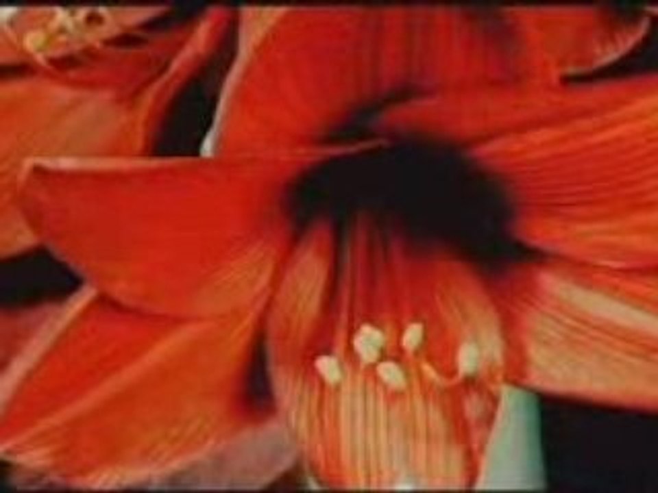 Dj Jurgen - A Higher Love