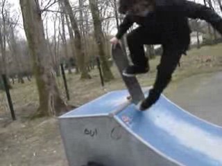 skate 360 flip louper...