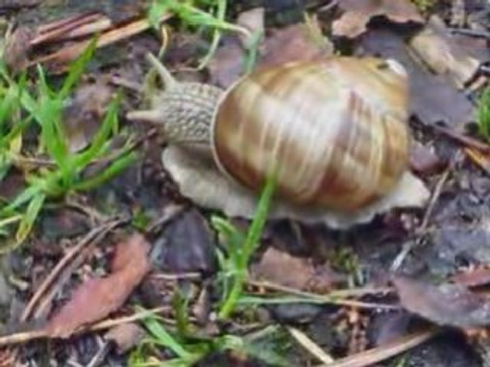 Natura z urlopu