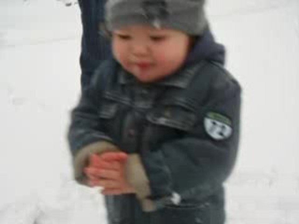 sacha