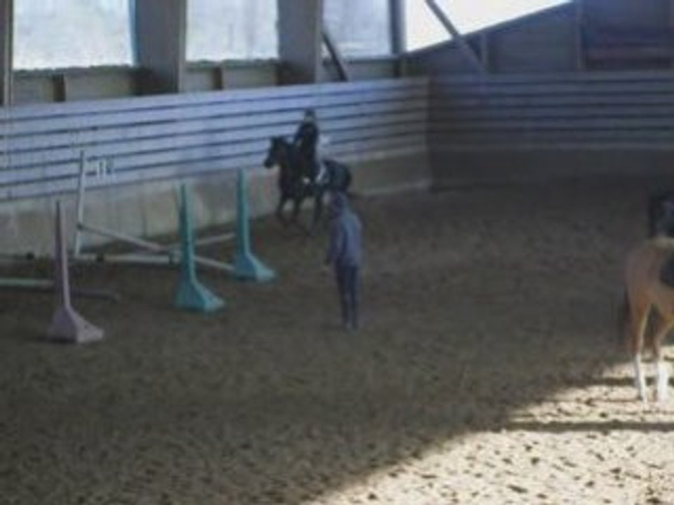 saut cavalettis