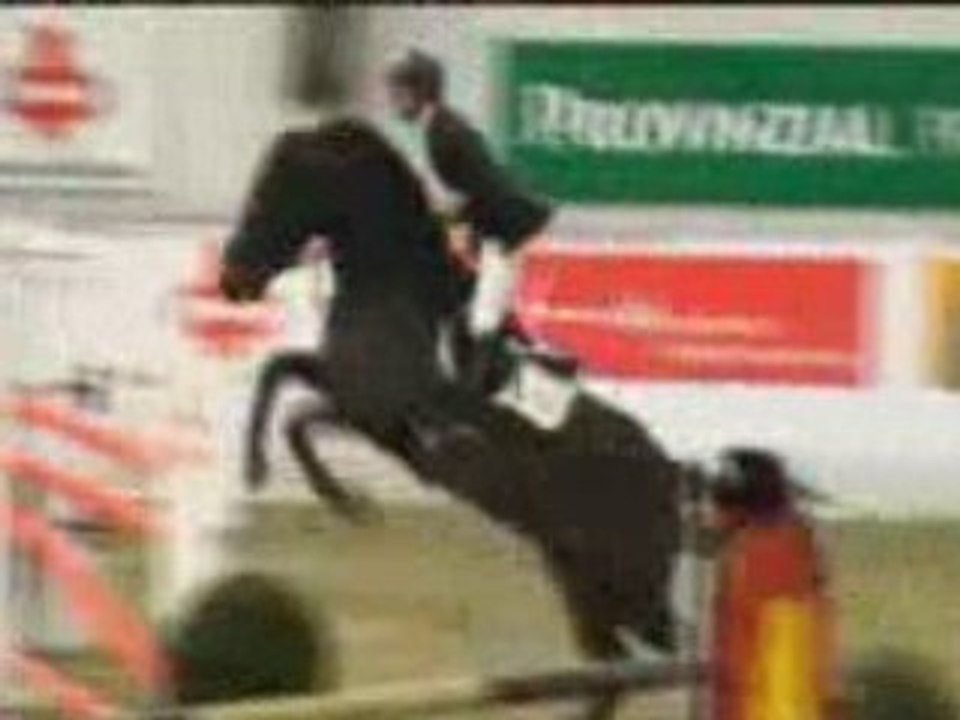 Eurocommerce Toulouse et Marcus Ehning (borken 15/02/2009)