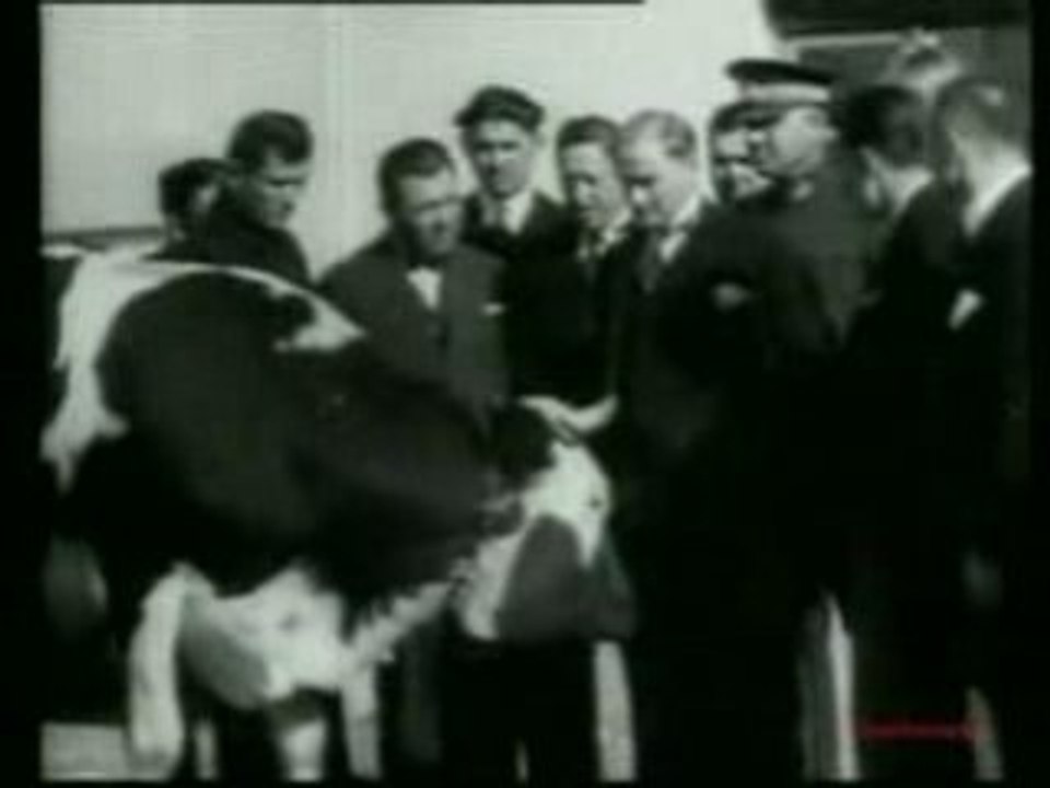 - ATATURK ORMAN CIFTLIGINDE SESLI GORUNTULU