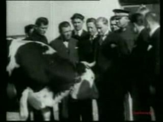 - ATATURK ORMAN CIFTLIGINDE SESLI GORUNTULU