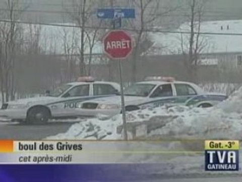 Accident sur des grives-pink