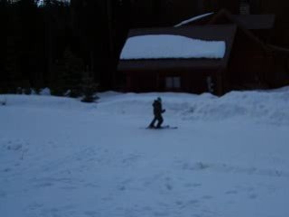 Skiing Backflip