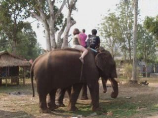 RIVER KWAI ELEPHANT VILLAGE