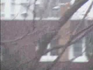 LE PIE PILLE LARBRE DE LA CONNAOSSANCE DU BIEN ET DU MAL