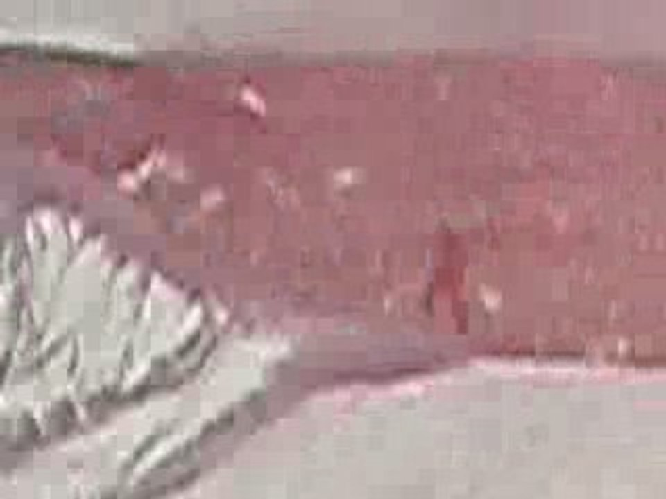 P2130489