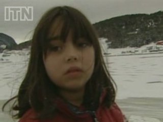 Dolphins trapped behind ice