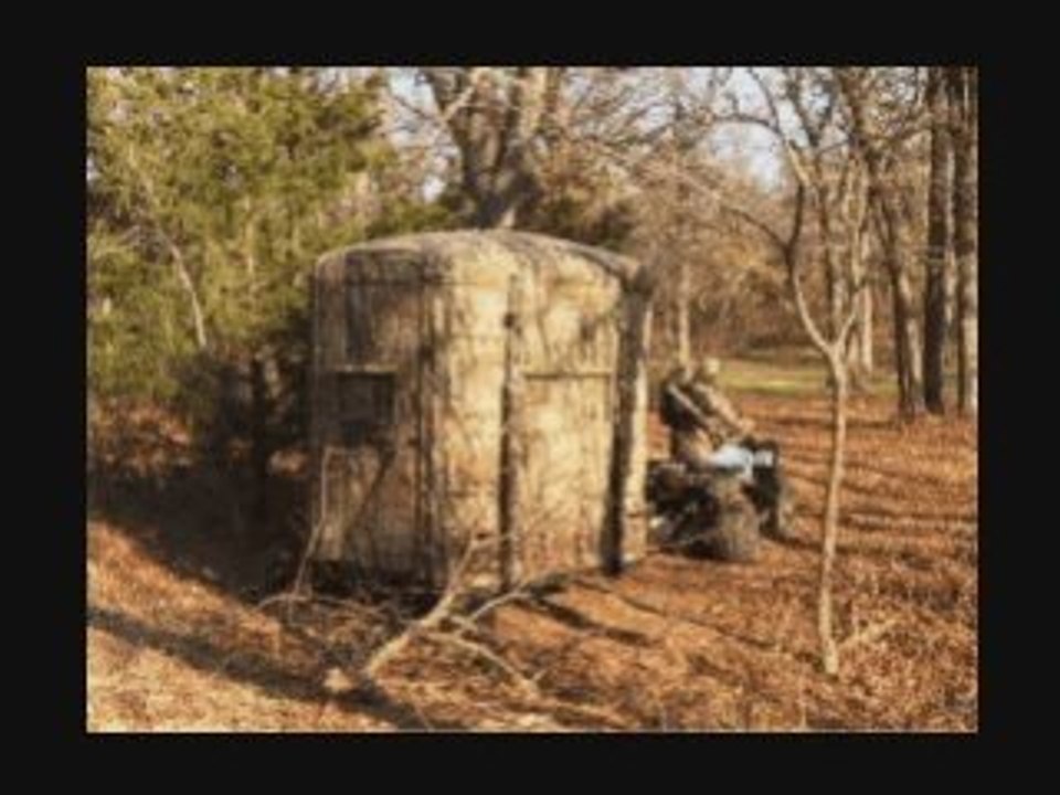 LUMINITA SOARE: 'WHEN A BLIND MAN CRIES'-DEEP PURPLE