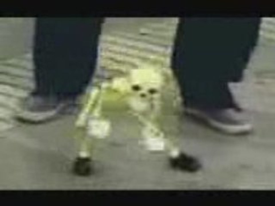 Skeloton Dance