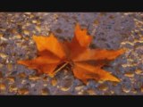 LUMINITA SOARE: Les Feuilles Mortes Autumn Leaves  chanson