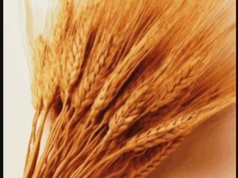 LUMINITA SOARE: FRUNZA -PASAREA COLIBRI folk romanesc