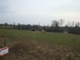 Jock changement de club