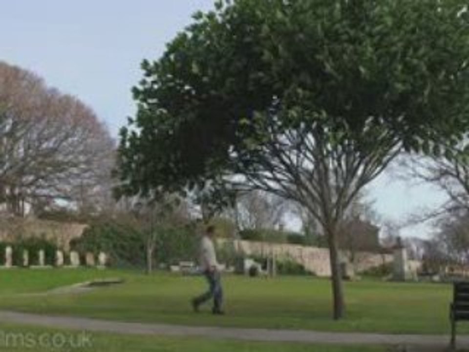 l'abre branché